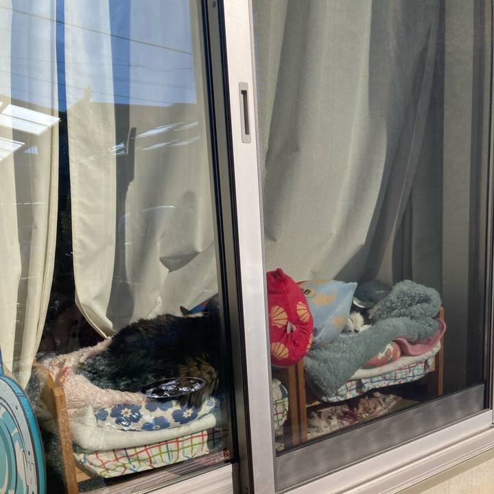 4e27e600 ce98 4471 af72 982b5fe8113f 1767674022748