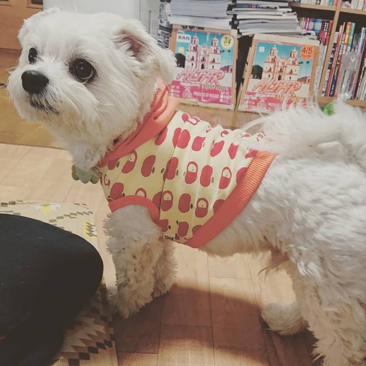 4e28015b 5dd8 4ac6 9312 2560a34174ac 1583464729434