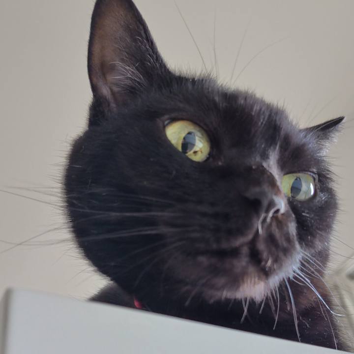 4e2801a5 b505 42e9 9ea2 f9642f5a08df 1752358691799