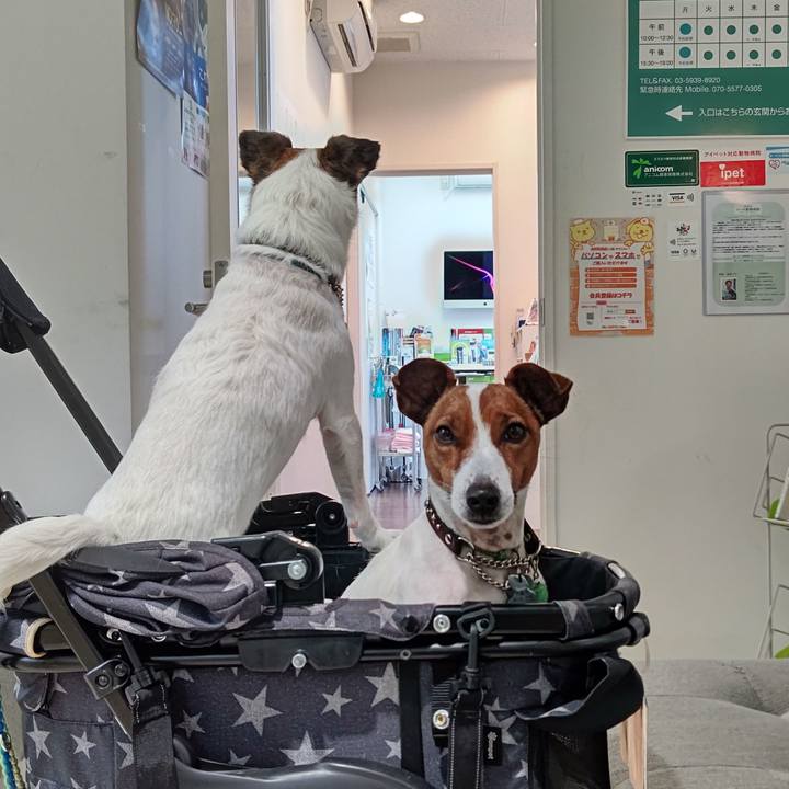 4e283273 5b86 4d3b b4b5 332c4faec973 1650086123488