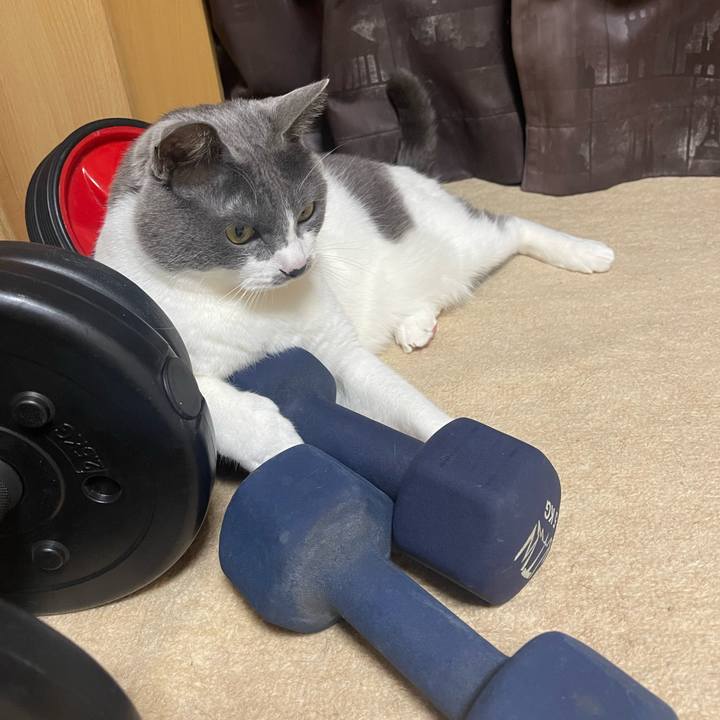 4e287413 acec 4970 829d 7e5131c37f11 1681133207417