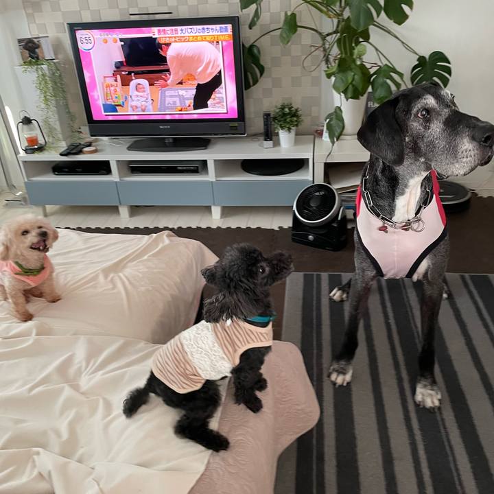 4e2878bf 48f8 4c8f a31f e623d4c13843 1652825393874