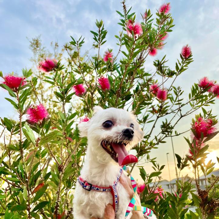 4e28aa16 7d77 485e 8292 d67f000163cd 1632714202903