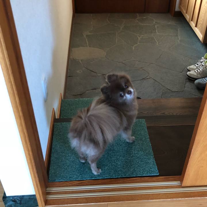 4e290174 3ef7 4ffe a26a 3a57ab763b32 1558039382406