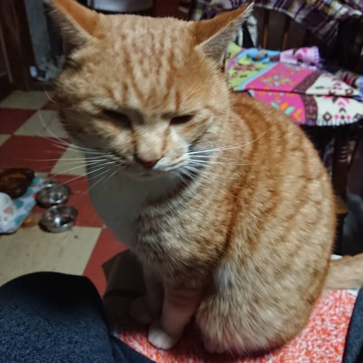 4e2964b0 418c 4ac4 9c5b c7d649e4dbc0 1577303027888