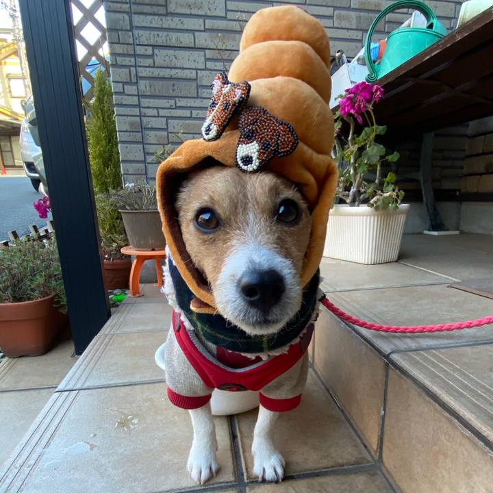 4e29ba65 95e3 434c b98c 76c9d02111dc 1611533621019