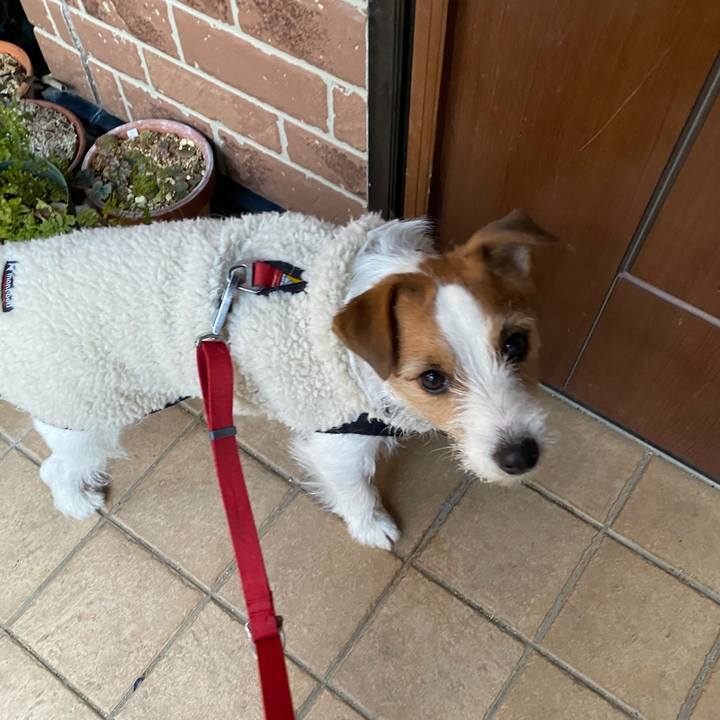 4e29d857 a045 449c 87be a4520b33a272 1738882441242