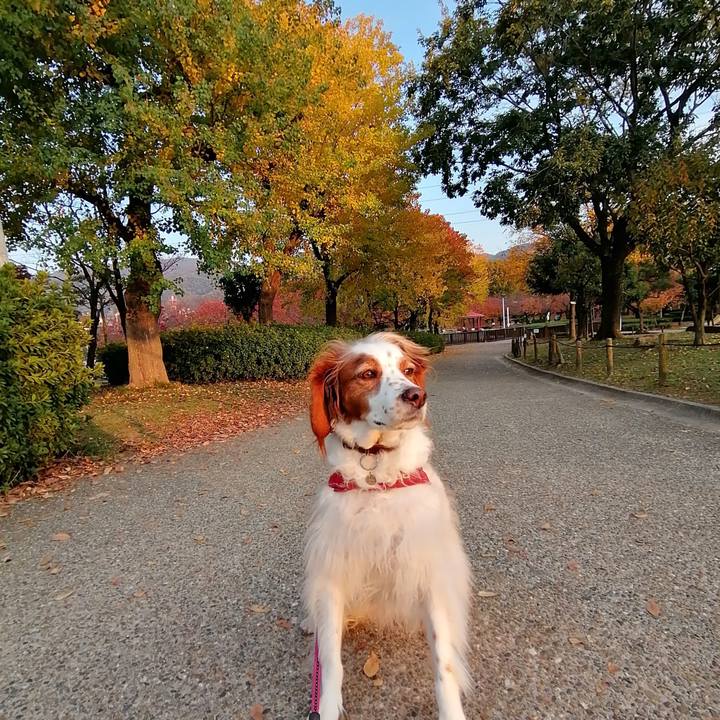 4e29f389 788c 442f a271 5bd1360e612d 1605602790974