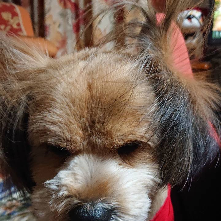 4e2a3e98 146b 4450 bd39 24e5576ce58a 1581156716138