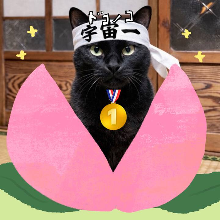 4e2a52dc f123 4c06 8970 40708c688e46 1771932765216