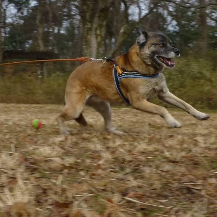 4e2a6960 d67e 4151 83ff e27cc5ba1e88 1579427764372