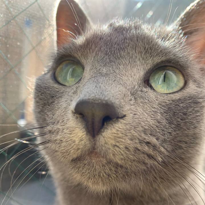 4e2a933a 9519 4120 8511 dcf1f45c1cd0 1579496311842