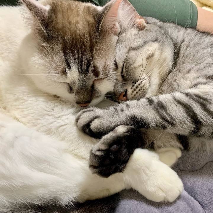 4e2aa2a3 4501 432b 92c2 0da4c710836f 1632869995187