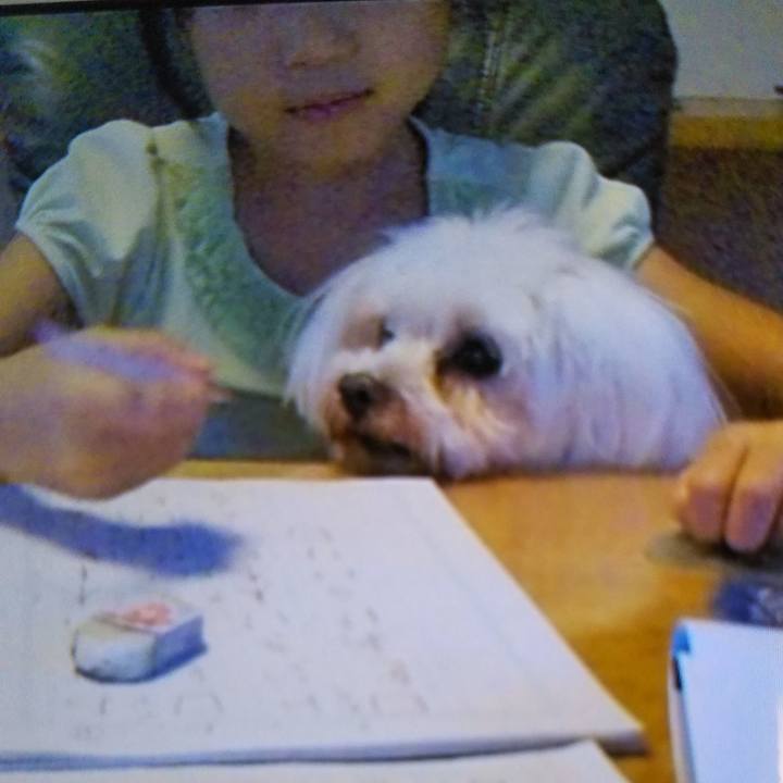 4e2ae7d5 25a3 4777 ac27 3df7fd095055 1537877786100