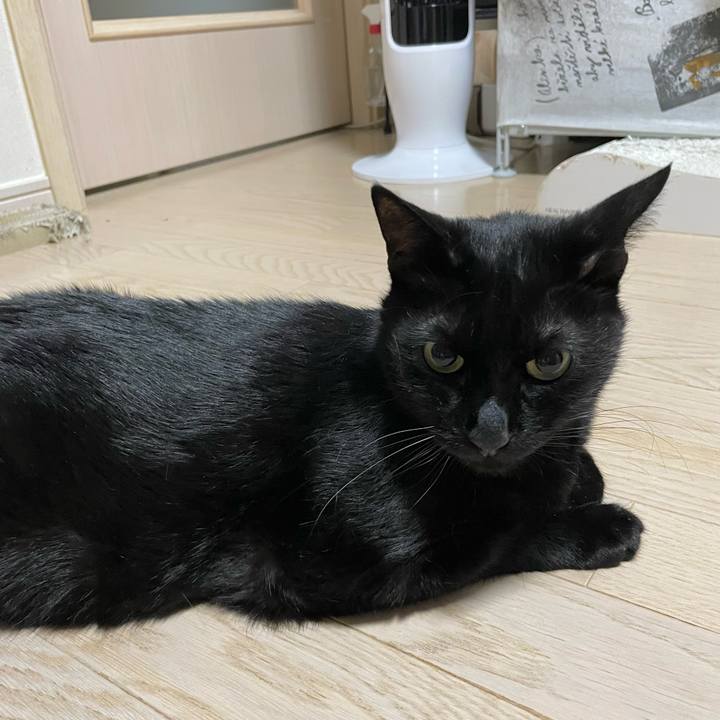 4e2b06ee 146e 4a36 b94b dfdd92e58905 1749474424117