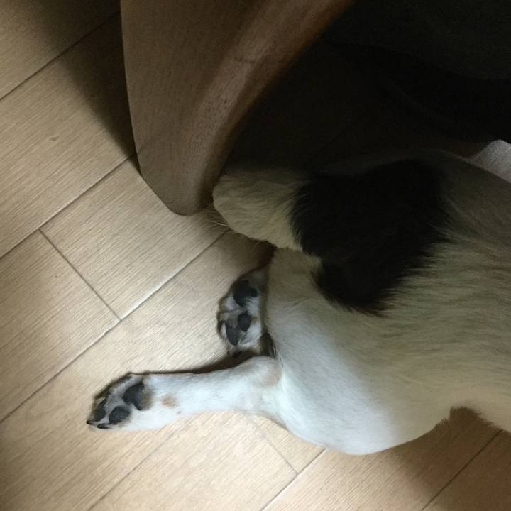 4e2b1e61 6f89 46fc a5c2 cad2280c3402 1519812172773