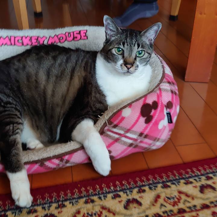 4e2b556a 5257 42bd 9a7c cc87cd42b3e4 1683367122195