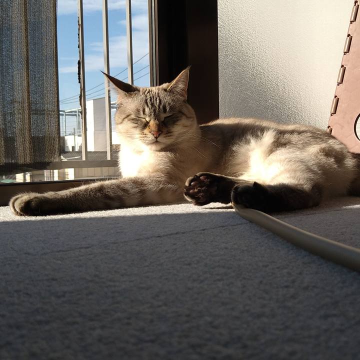 4e2bb1a5 1006 42b4 ac78 e759c86b5d19 1639283206758