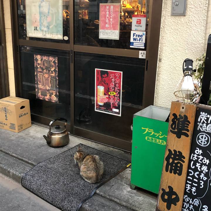 4e2bb257 7d7c 4b96 8f70 222a5456d72f 1547047114994