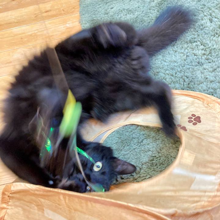 4e2bca88 5ef3 4ef3 91b4 cdf372c2cdaf 1743832819497