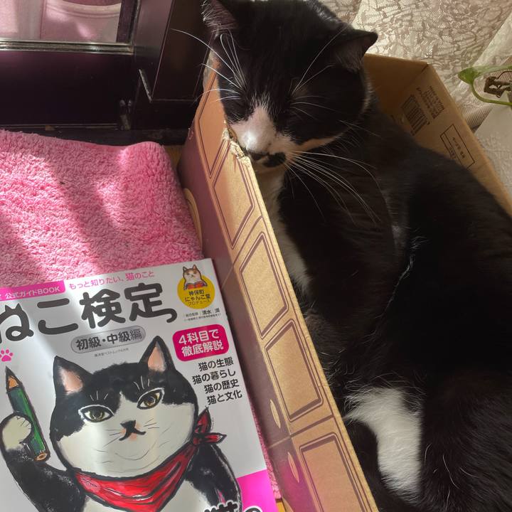 4e2bf971 24af 468e 9d0e 5cb4e3b27b5c 1679875319634