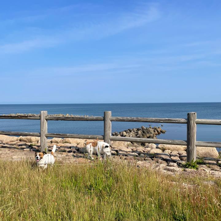 4e2c2cb6 e602 47db 8ec1 2b7b907f9c68 1718147598326