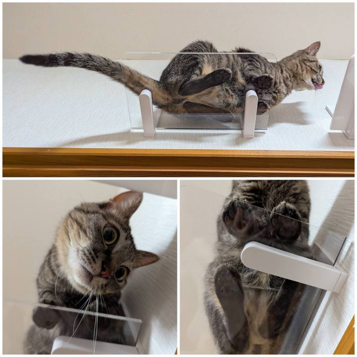 4e2ca6dc f3be 47fd be55 f7bcc6c6af99 1753772538224