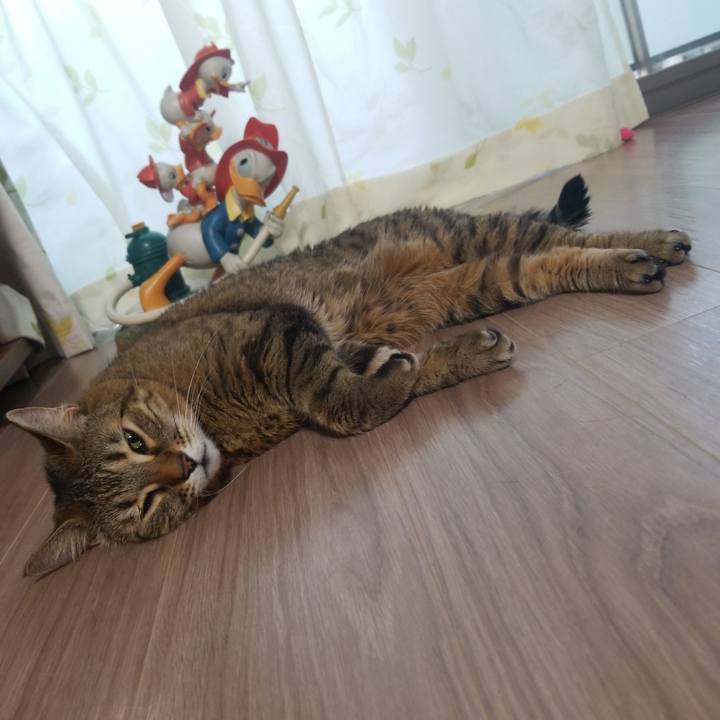 4e2cad01 b036 49f9 b256 c80904c8989c 1583875705309