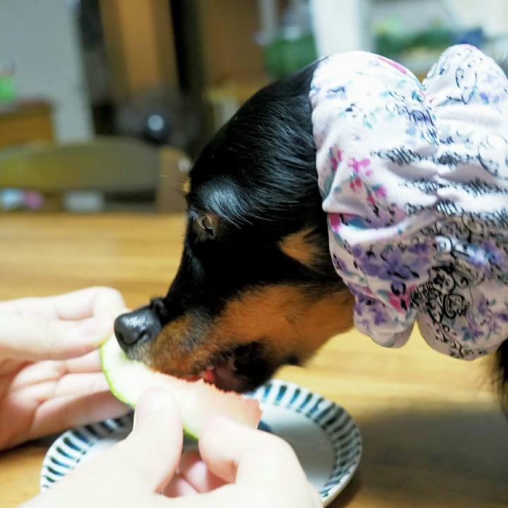 4e2cad09 21f2 49a6 925d 86a1b75b6969 1563104659052