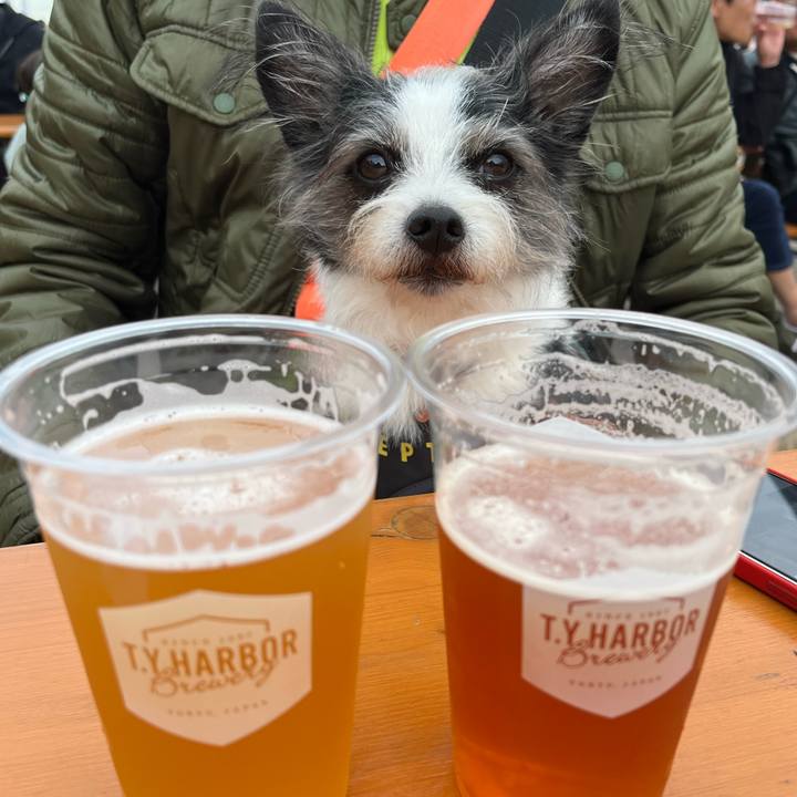 4e2cad2d d468 4dac 8cf3 b225ee4d3dfc 1731226552940