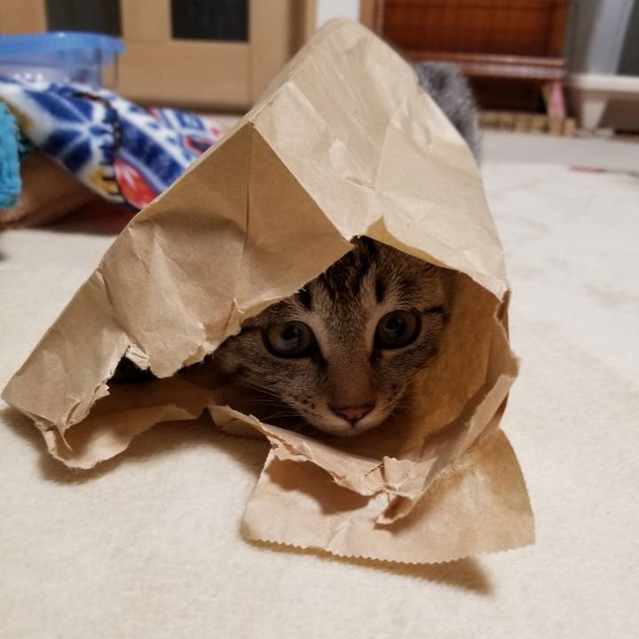 4e2d3751 30c1 444e 93de 81867e998582 1668179858935