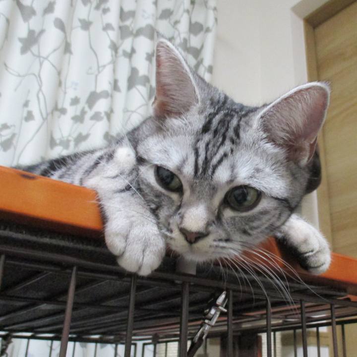 4e2d4268 7654 44c0 aa37 1a9fa5f48f61 1547373956482