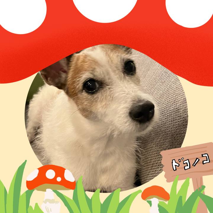 4e2d602f b5b9 46e3 bf0c 8110f493f035 1729206957150