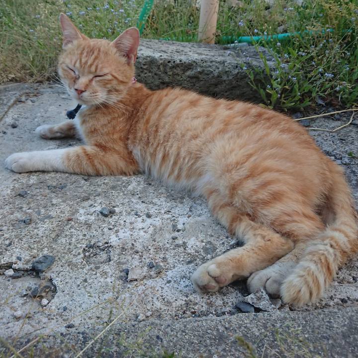 4e2e3d8e 871a 42d9 9a58 bbd29d583719 1558951887100