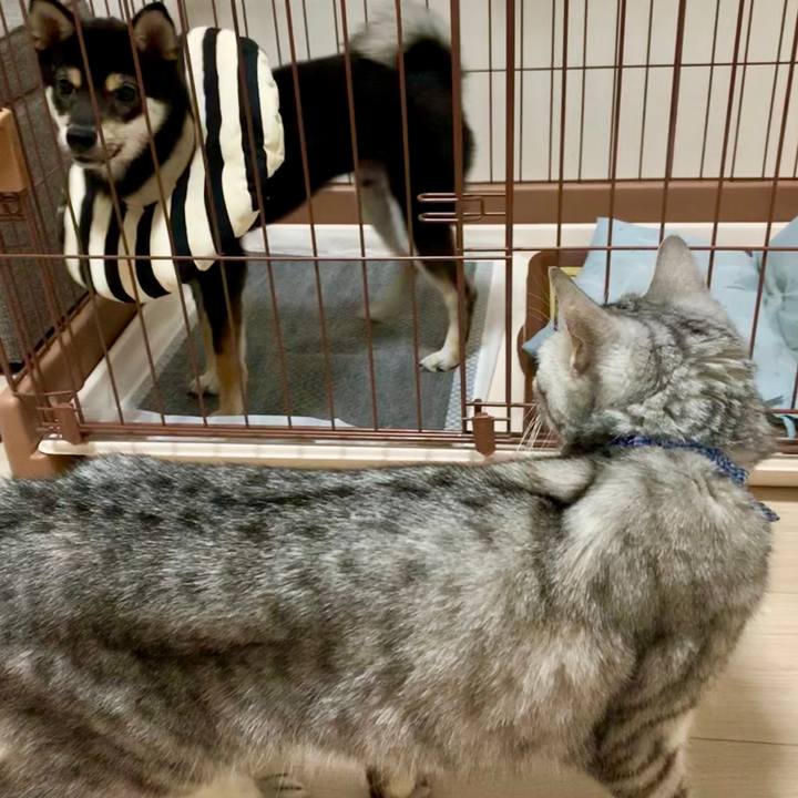 4e2e4e15 66ff 44b1 b0d7 d09d1242423c 1562837610406