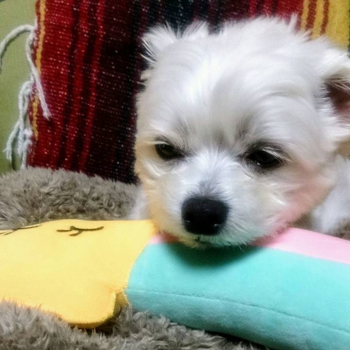 4e2e803c 8551 4fa0 9591 4eb93c8a0f56 1522154965571