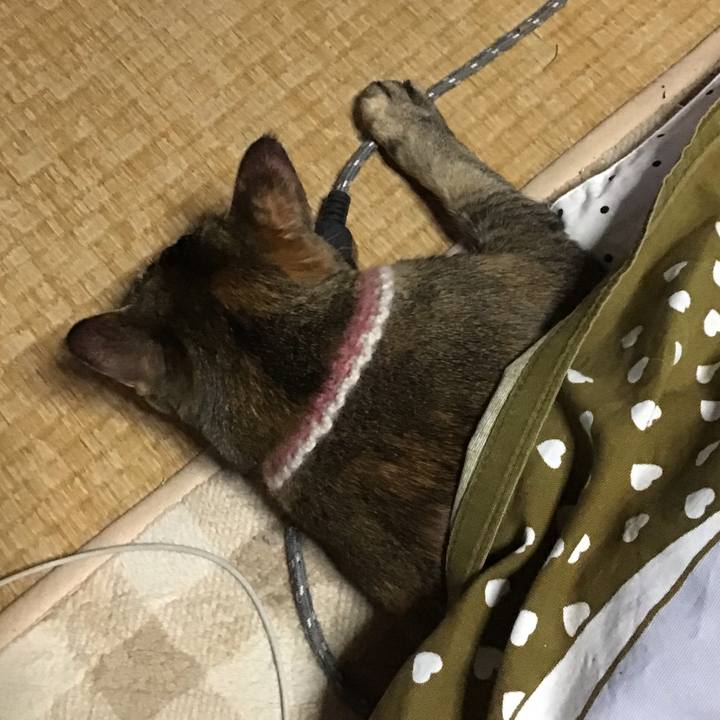 4e2e8d89 9cae 48d0 878b 0b4719ded386 1674214849188