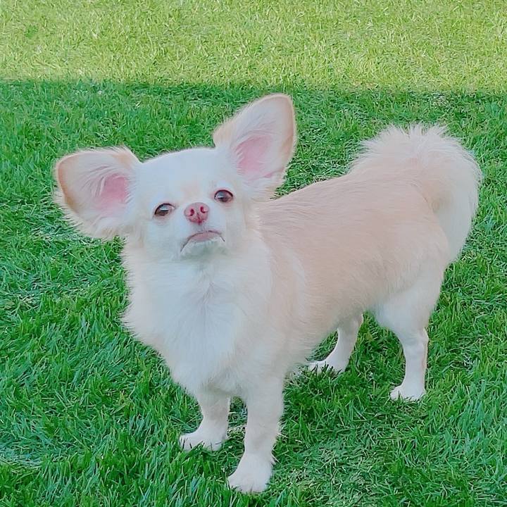 4e2ec754 4e8b 493c 9b81 0a7280dd4e00 1689512696750