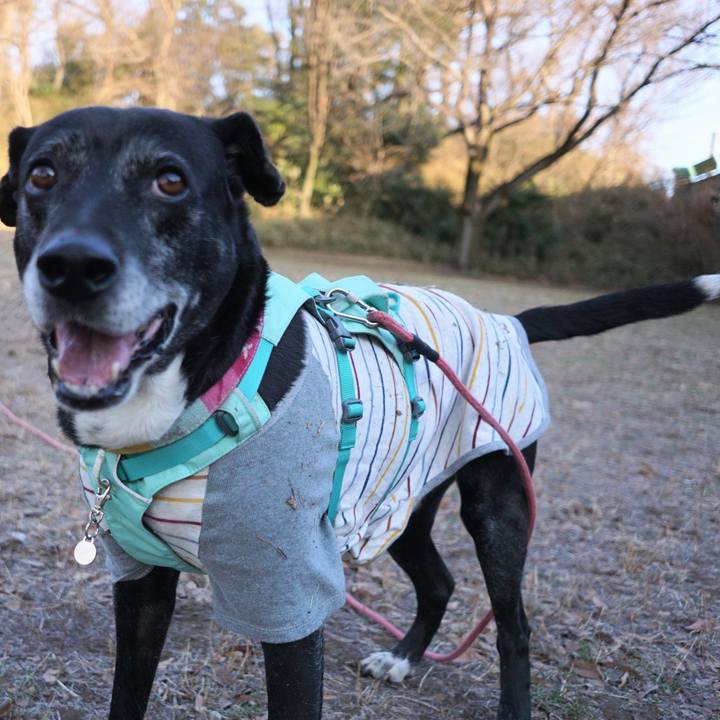 4e2ecabb 38f3 4be2 9185 bbb4040ccadc 1769821438783