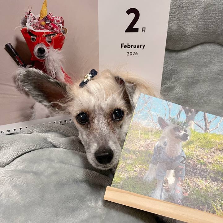 4e2ee3c4 0339 4ca5 8792 ead74ea08513 1769910290579