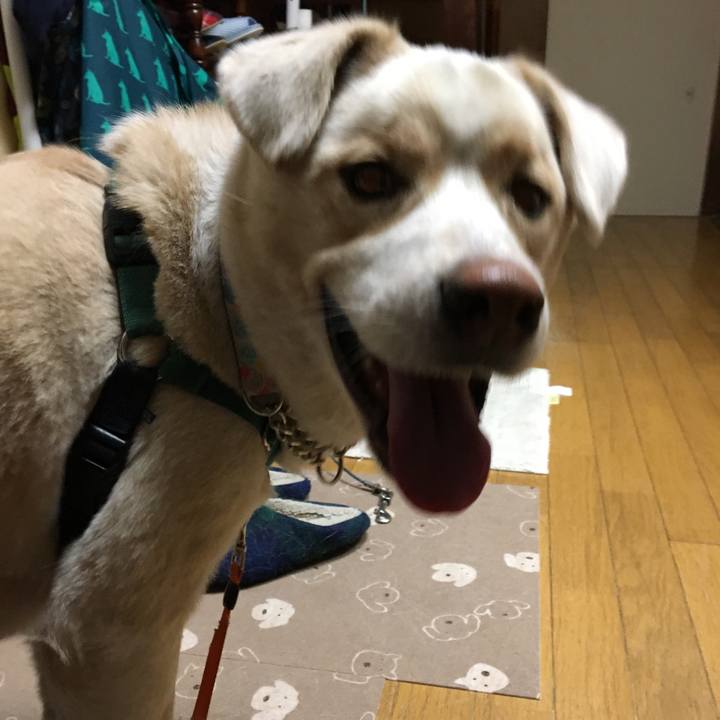 4e2f11be 5e83 497f 9159 4185150730da 1515313138263