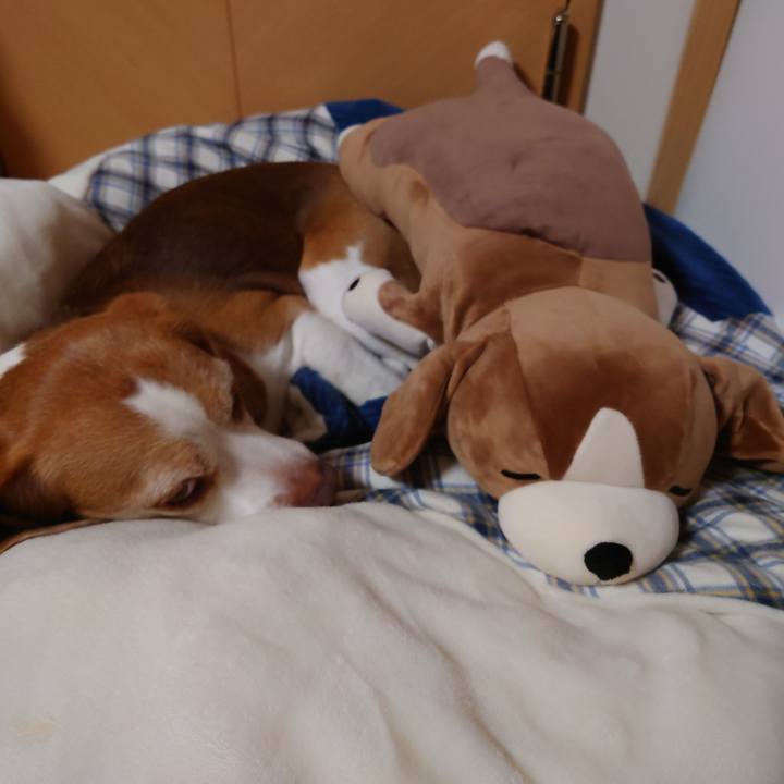 4e2f147b 1d4c 4676 84a7 9022db411e2b 1705909467738