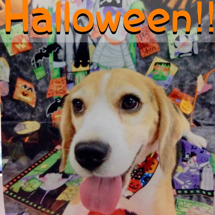 4e2f7d57 5256 4d1e 97a5 b7081fd5308d 1698712306488