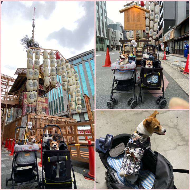 4e2fa18d 8eb6 46de 9a56 20622c562604 1689381982057