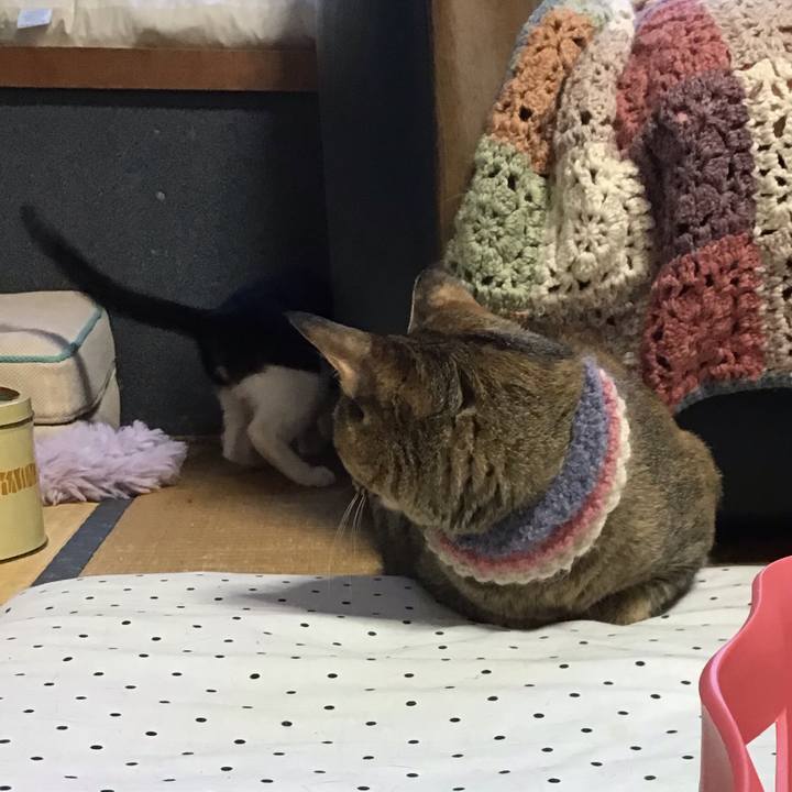 4e2fd8ea fb91 49fb 80ce 9230bd5a320d 1626601664320