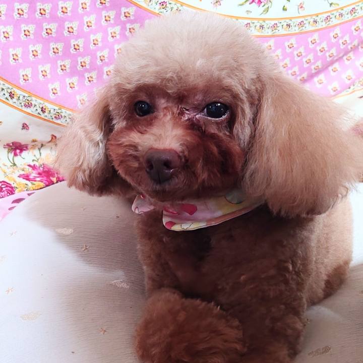 4e2fea0f 00bf 44ca 901f 4b668dc82003 1751778755841