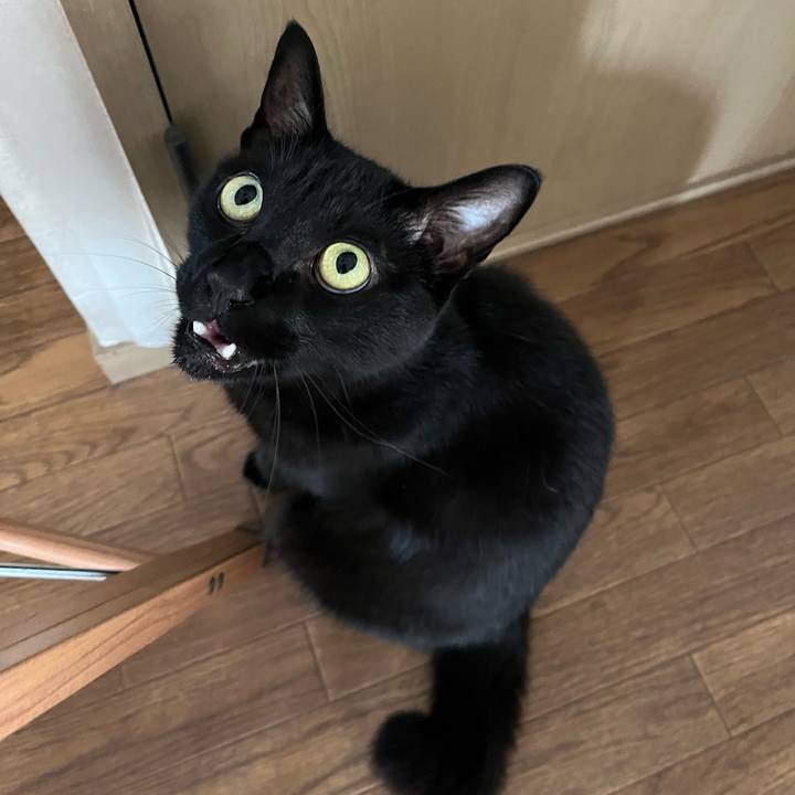 4e300a2c 6a66 49dd ace6 84507aaaf4a2 1719977218379