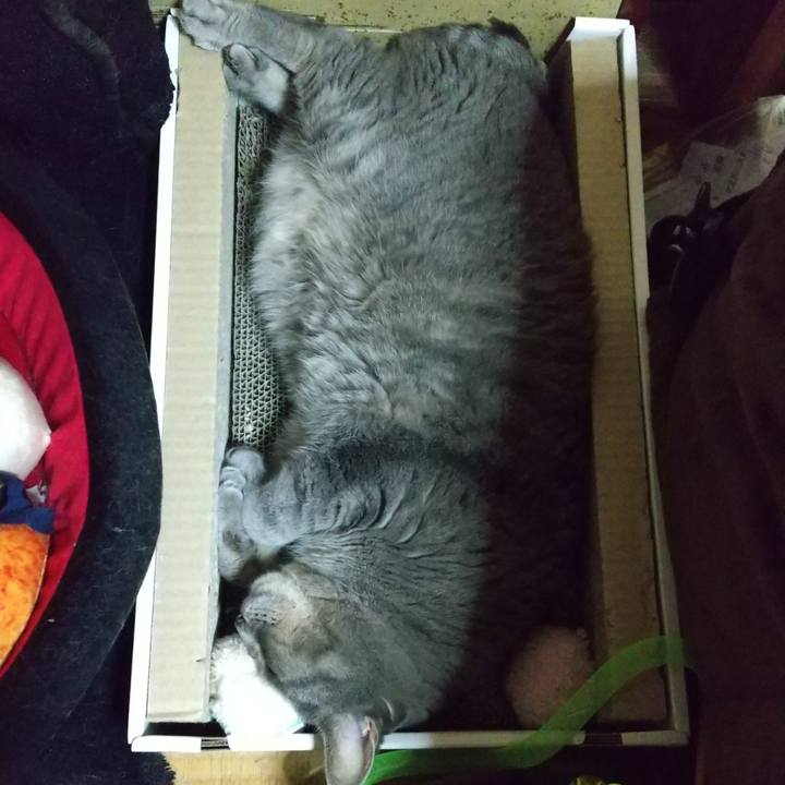 4e301668 5bfc 468e 8020 3b9b58fc0a91 1626361421467