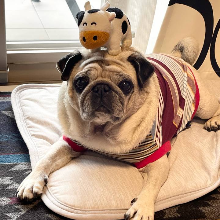 4e301e13 f7da 476d a8da 7ea15a112a7f 1761438242490