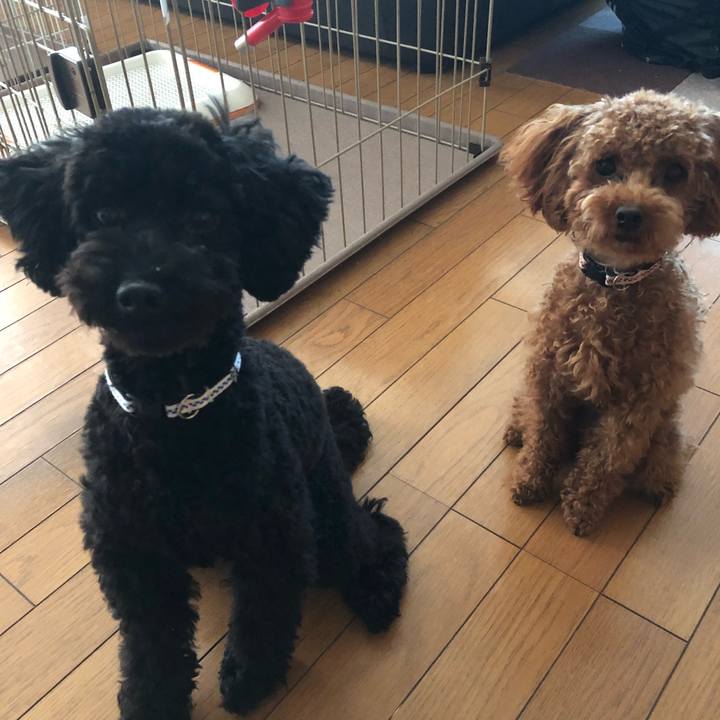 4e30661d 0eae 475d b7bc f4e3379ae073 1510305635168